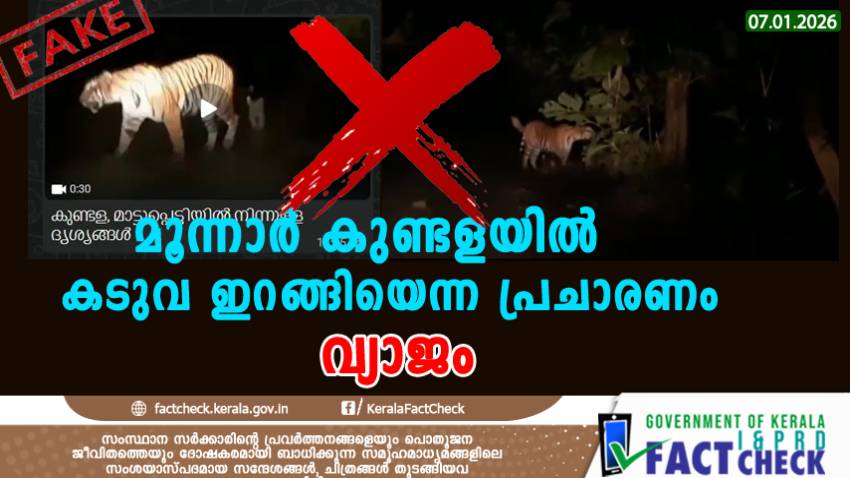 the reports of a tiger sighting in Munnar's Kundala are fake